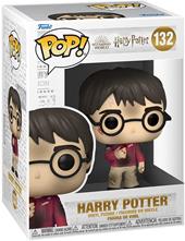POP HP: HP Anniversary- Harry w/The Stone