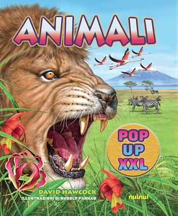 Animali pop up XXL. Ediz. a colori - David Hawcock - Libro Nuinui 2022 | Libraccio.it