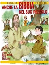 Anche la Bibbia nel suo piccolo. Storie della Bibbia viste dal basso. Ediz. illustrata