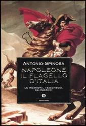 Napoleone. Il flagello d'Italia. Le invasioni, i saccheggi, gli inganni