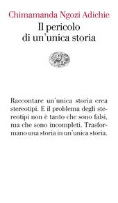 Il pericolo di un'unica storia