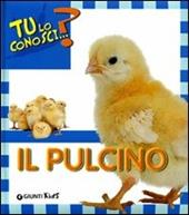 Il pulcino. Ediz. illustrata