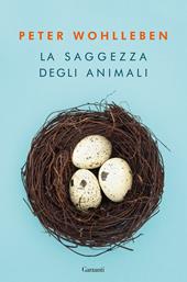 La saggezza degli animali