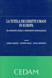 La tutela dei diritti umani in Europa. Tra sovranità statale e ordinamenti sovranazionali