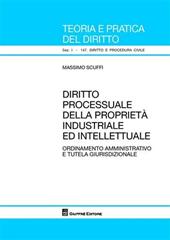 Diritto processuale della proprietà industriale ed intellettuale. Ordinamento amministrativo e tutela giurisdizionale