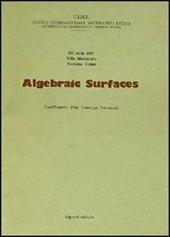 Algebraic surfaces