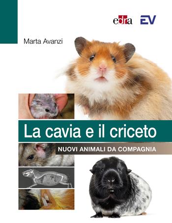 La cavia e il criceto. Nuovi animali da compagnia - Marta Avanzi - Libro Edra 2024 | Libraccio.it