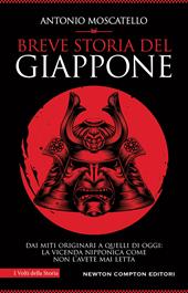 Breve storia del Giappone. Dai miti originari a quelli di oggi: la vicenda nipponica come non l'avete mai letta