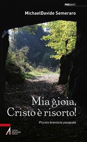 Mia gioia, Cristo è risorto! Meditazioni quotidiane da Pasqua a Pentecoste. Ediz. plastificata