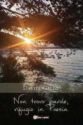 Non trovo parole, rifugio in poesia - Davide Gallo - Libro Youcanprint 2018 | Libraccio.it