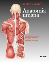 Anatomia umana