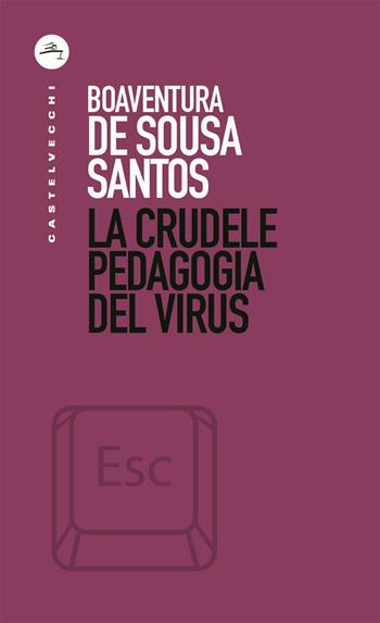 La crudele pedagogia del virus - Boaventura de Sousa Santos - Libro Castelvecchi 2020, ESC | Libraccio.it