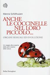 Anche le coccinelle nel loro piccolo... Organi sessuali ed evoluzione