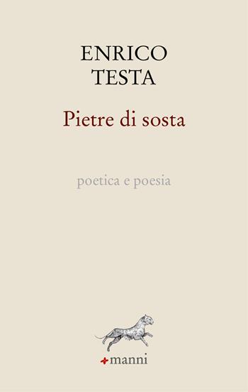 Pietre di sosta. Poetica e poesia - Enrico Testa - Libro Manni 2024, La pantera profumata | Libraccio.it