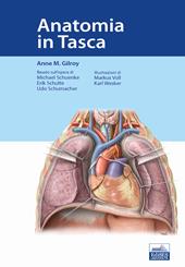 Anatomia in tasca