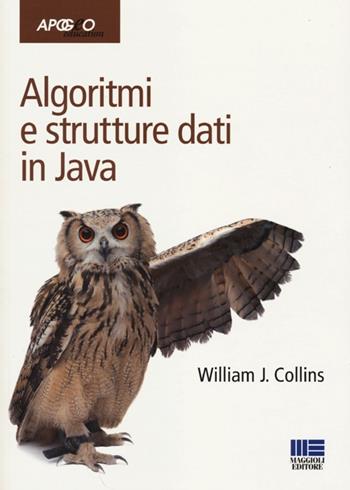 Algoritmi e strutture dati in Java - William Collins - Libro Apogeo Education 2013, Idee e strumenti | Libraccio.it