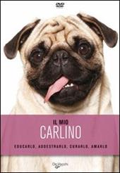 Il mio carlino. DVD