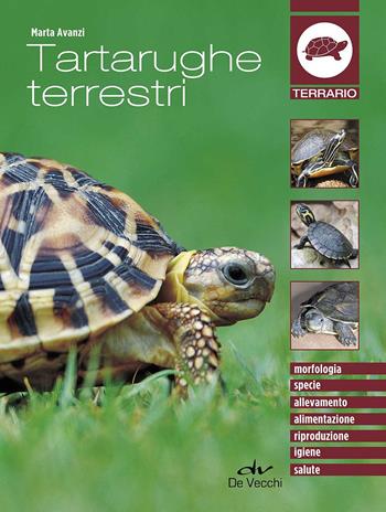 Tartarughe terrestri - Marta Avanzi - Libro De Vecchi 2017, Terrario | Libraccio.it
