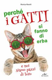 Perché i gatti si fanno di erba e noi siamo pazzi di loro