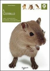 Il gerbillo