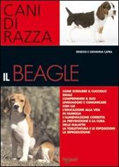 Il beagle