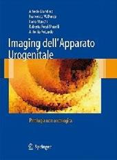 Imaging dell'apparato urogenitale. Patologia non oncologica