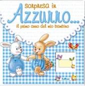 Sorpresa in azzurro... Il primo anno del mio bambino