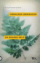 Un grande gelo. I casi dell'ispettore Erlendur Sveinsson. Vol. 5