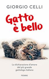 Gatto è bello