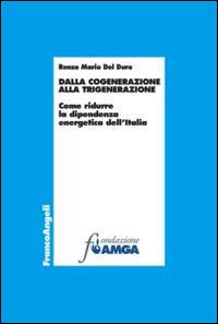 Dalla cogenerazine alla trigenerazione. Come ridurre la dipendenza energetica dell'Italia - Renzo M. Del Duro - Libro Franco Angeli 2014, Collana Fondazione Amga | Libraccio.it