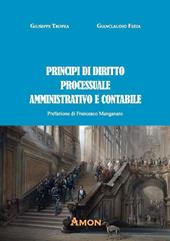 Principi di diritto processuale amministrativo e contabile