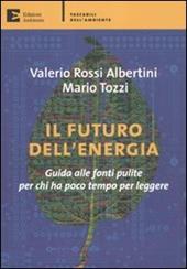 Il futuro dell'energia. Guida alle fonti pulite per chi ha poco tempo per leggere