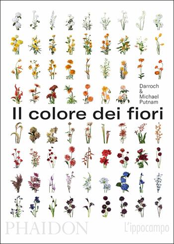 Il colore dei fiori - Michael Putnam, Taylor Putnam - Libro L'Ippocampo 2019 | Libraccio.it