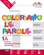 Coloriamo le parole. Con e-book. Con espansione online. Con 2 libri: Quaderno operativo-Verso l'esame. Con DVD-ROM. Vol. 1/A-B