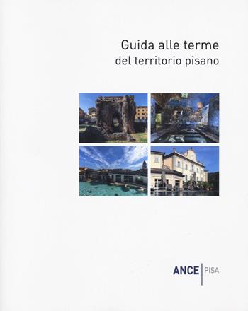 Guida alle terme del territorio pisano - Massimo Dringoli - Libro Pacini Editore 2020, Architettura | Libraccio.it
