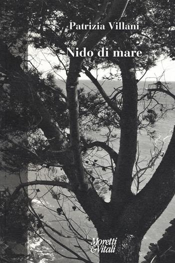 Nido di mare - Patrizia Villani - Libro Moretti & Vitali 2019, Fabula | Libraccio.it