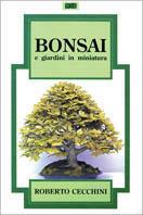 Bonsai e giardini in miniatura