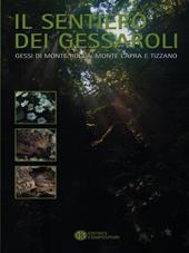 Il sentiero dei Gessaroli. Gessi di Monte Rocca, Monte Capra e Tizzano. Ediz. illustrata