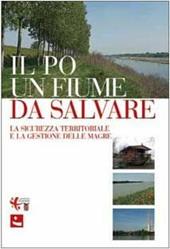 Il Po: un fiume da salvare. La sicurezza territoriale e la gestione delle magre. Atti del Convegno (Mantova, aprile 2007). Ediz. illustrata