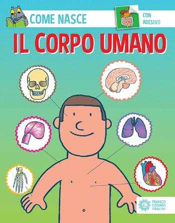 Il corpo umano. Ediz. a colori. Con Adesivi - Cinzia Bonci, Agostino Traini - Libro Franco Cosimo Panini 2003, Come nasce | Libraccio.it