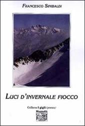 Luci d'invernale fiocco