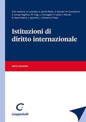 Istituzioni di diritto internazionale