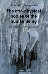 The non-physical bodies of the human being. Voyage in the destiny. Vol. 6