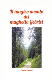 Il magico mondo del maghetto Gebriel