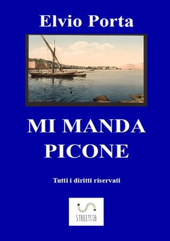 Mi manda Picone - Elvio Porta - Libro StreetLib 2017 | Libraccio.it