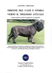 Origine del cane e storia verso il molosso attuale