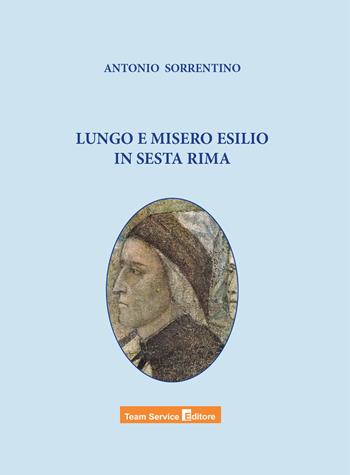 Lungo e misero esilio in sesta rima - Antonio Sorrentino - Libro Team Service Editore 2021 | Libraccio.it