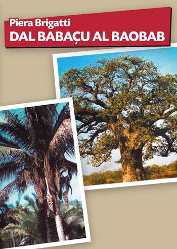 Dal babaçu al baobab - Piera Brigatti - Libro Youcanprint 2024 | Libraccio.it