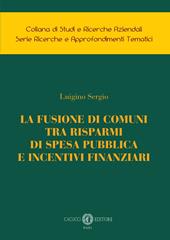 La fusione di comuni tra risparmi di spesa pubblica e incentivi finanziari